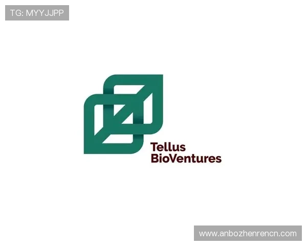 如何在ag国际厅网页版登录顺畅，确保账户安全的实用技巧全攻略