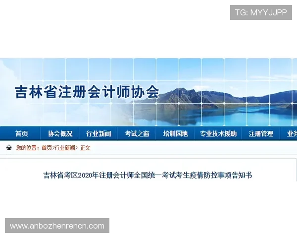 确保安博在线登录安全的实用建议与注意事项